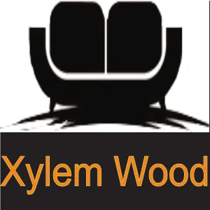 Xylem Wood