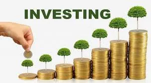 Zulikha Bint Noah Investment Limited